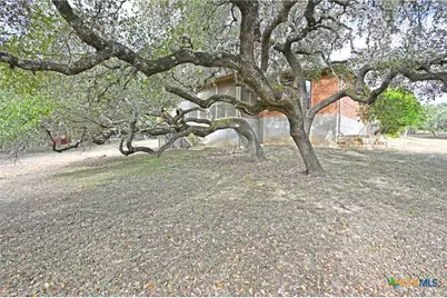 854 Santa Cruz, New Braunfels, TX 78132 - Photo 44