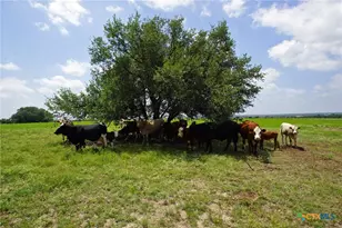 2002 Co Rd 276, Bertram, TX 78605 - Photo 20