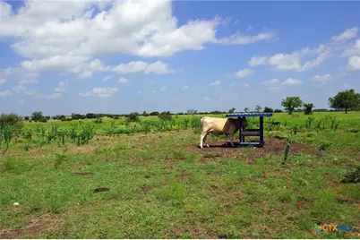 2002 County Road 276, Bertram, TX 78605 - Photo 4