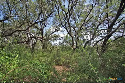 2002 County Road 276, Bertram, TX 78605 - Photo 28