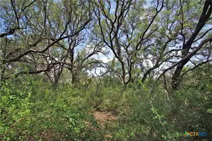 2002 Co Rd 276, Bertram, TX 78605 - Photo 28