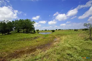 2002 Co Rd 276, Bertram, TX 78605 - Photo 12