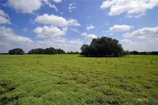 2002 Co Rd 276, Bertram, TX 78605 - Photo 2