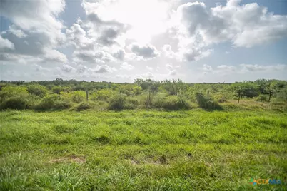 80 Acres Hwy 172, Port Lavaca, TX 77979 - Photo 12