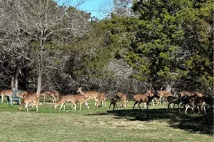 0 Deerwood Circle, Bandera, TX 78003 - Photo 2
