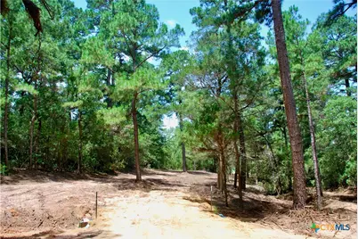 Tbd Sandy Lane, Rosanky, TX 78953 - Photo 14