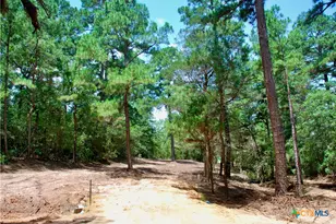 Tbd Sandy Ln, Rosanky, TX 78953 - Photo 14