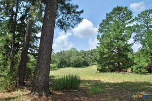 Tbd Sandy Ln, Rosanky, TX 78953 - Photo 38