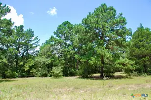 Tbd Sandy Ln, Rosanky, TX 78953 - Photo 20