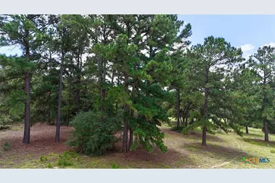 Tbd Sandy Lane, Rosanky, TX 78953 - Photo 40