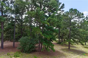 Tbd Sandy Ln, Rosanky, TX 78953 - Photo 40