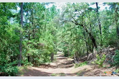 Tbd Sandy Lane, Rosanky, TX 78953 - Photo 36