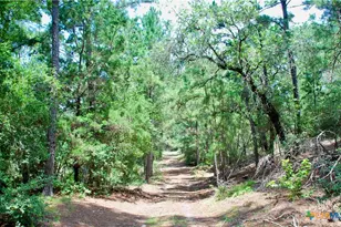 Tbd Sandy Ln, Rosanky, TX 78953 - Photo 36