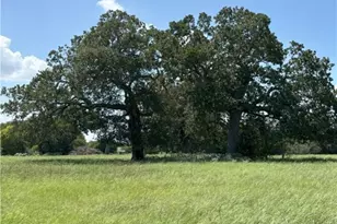 0 Cr 121, Gonzales, TX 78629 - Photo 4