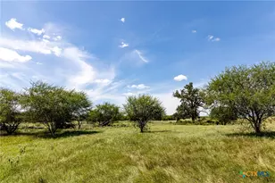 000 County Road 132, Hallettsville, TX 77964 - Photo 10