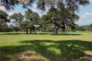 15545 State Hwy 111, Yoakum, TX 77995 - Photo 34