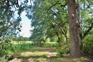 9590 Maynard Hallmark Rd, Flatonia, TX 78941 - Photo 26