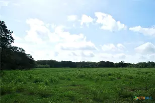 9590 Maynard Hallmark Rd, Flatonia, TX 78941 - Photo 24