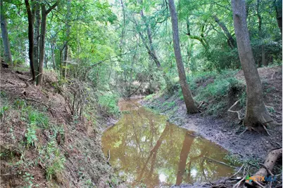 9590 Maynard Hallmark Road, Flatonia, TX 78941 - Photo 22