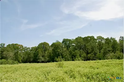 9590 Maynard Hallmark Road, Flatonia, TX 78941 - Photo 32