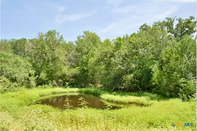 9590 Maynard Hallmark Road, Flatonia, TX 78941 - Photo 34