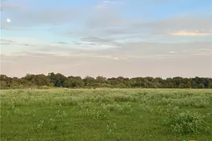 9590 Maynard Hallmark Rd, Flatonia, TX 78941 - Photo 36