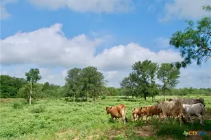 9590 Maynard Hallmark Rd, Flatonia, TX 78941 - Photo 12