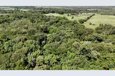9590 Maynard Hallmark Road, Flatonia, TX 78941 - Photo 28