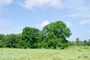 9590 Maynard Hallmark Rd, Flatonia, TX 78941 - Photo 40