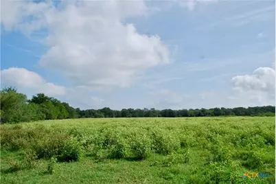 9590 Maynard Hallmark Road, Flatonia, TX 78941 - Photo 38