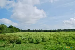 9590 Maynard Hallmark Rd, Flatonia, TX 78941 - Photo 38