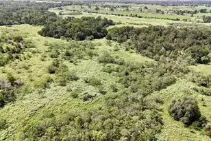 9590 Maynard Hallmark Rd, Flatonia, TX 78941 - Photo 36