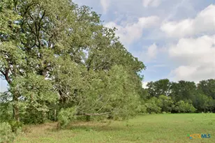 9590 Maynard Hallmark Rd, Flatonia, TX 78941 - Photo 16