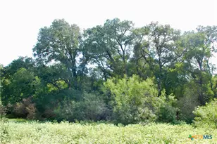 9590 Maynard Hallmark Rd, Flatonia, TX 78941 - Photo 18