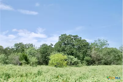 9590 Maynard Hallmark Road, Flatonia, TX 78941 - Photo 38