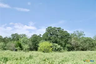 9590 Maynard Hallmark Rd, Flatonia, TX 78941 - Photo 38