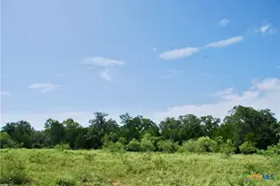 9590 Maynard Hallmark Rd, Flatonia, TX 78941 - Photo 40