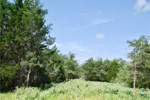 9590 Maynard Hallmark Rd, Flatonia, TX 78941 - Photo 42