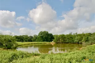 9590 Maynard Hallmark Rd, Flatonia, TX 78941 - Photo 14