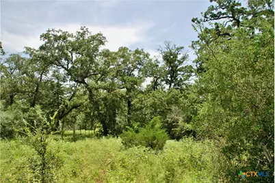 9590 Maynard Hallmark Road, Flatonia, TX 78941 - Photo 44