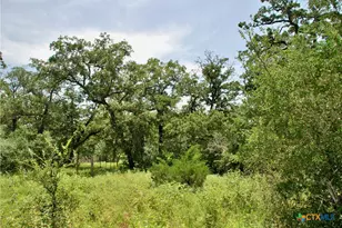 9590 Maynard Hallmark Rd, Flatonia, TX 78941 - Photo 44