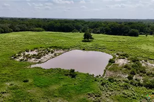 9590 Maynard Hallmark Rd, Flatonia, TX 78941 - Photo 4