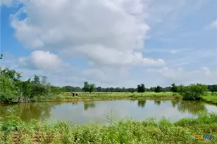 9590 Maynard Hallmark Rd, Flatonia, TX 78941 - Photo 12