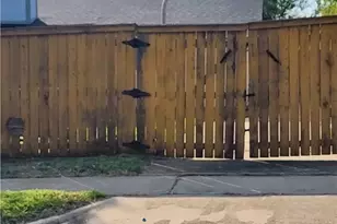 2410 Buttercup Cir, Killeen, TX 76542 - Photo 14