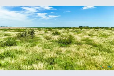 Tbd Arthur Cemetery Road, Troy, TX 76579 - Photo 6