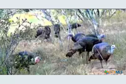 736 County Road 421, Waelder, TX 78959 - Photo 10