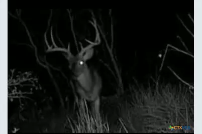 736 County Road 421, Waelder, TX 78959 - Photo 8