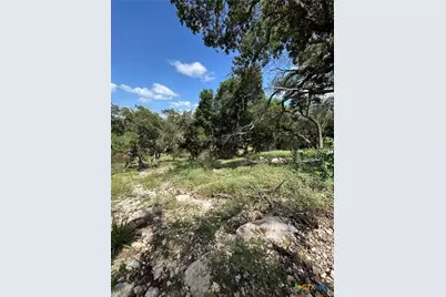 856 Lime Rock Avenue, Canyon Lake, TX 78133 - Photo 4