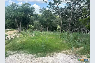 856 Lime Rock Avenue, Canyon Lake, TX 78133 - Photo 4