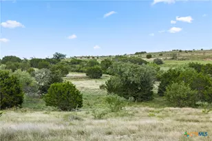 2989 Fm 580, Lampasas, TX 76550 - Photo 36